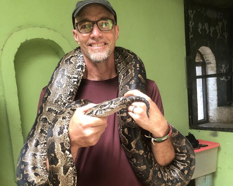 snake