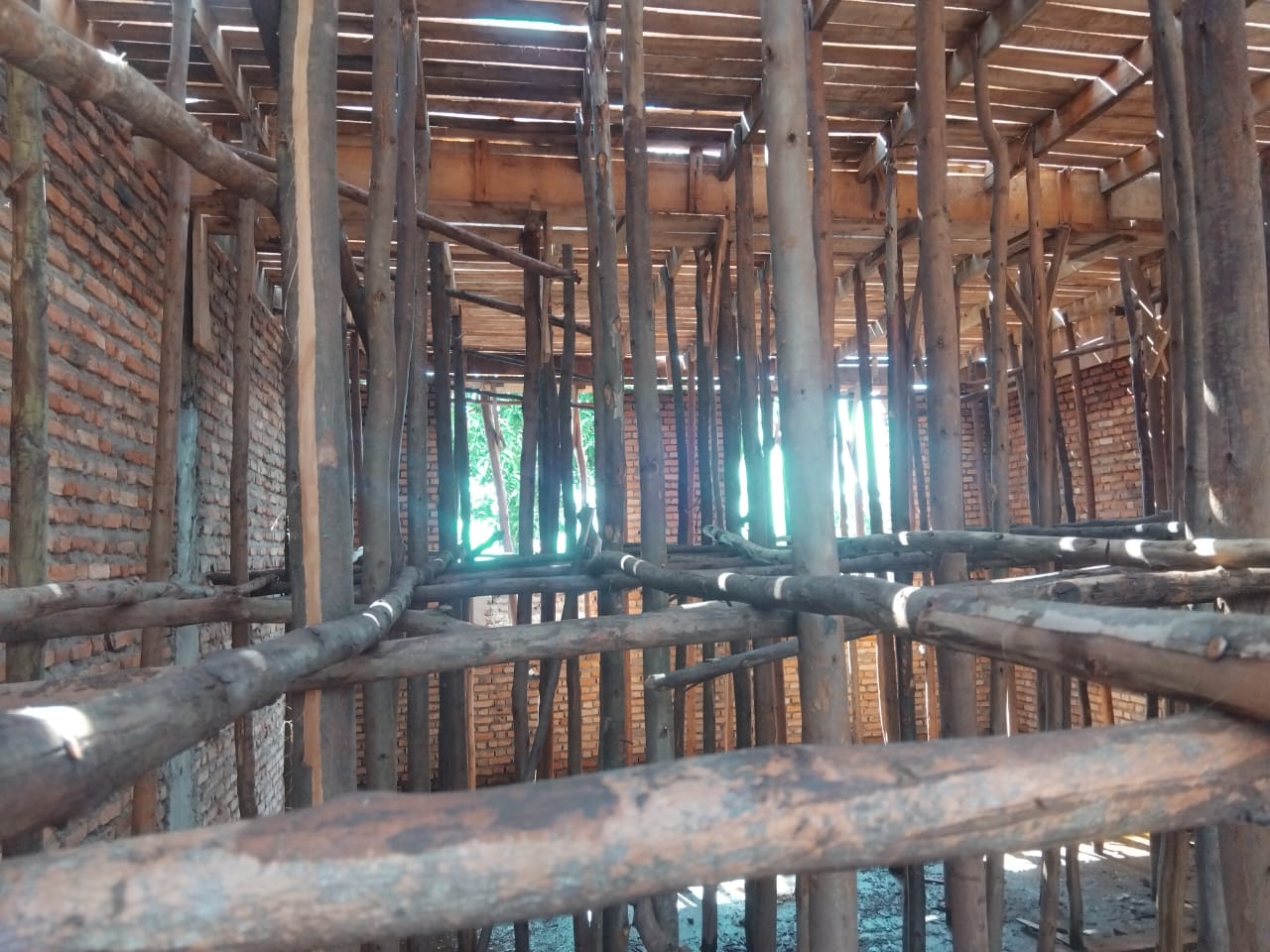 WhatsApp Image 2026-01-02 at 16.30.21